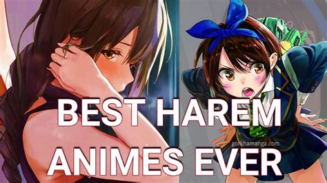 top harem animes|35 Best Harem Anime Of All Time You Should See .